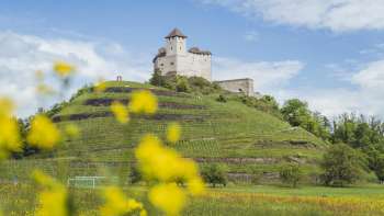 View of Gutenberg Castle with yellow flowers in the foreground and blue sky in the background