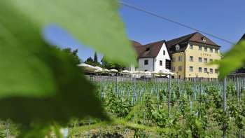 Exterior view of the inn, surrounded by vines and leaves in the foreground.