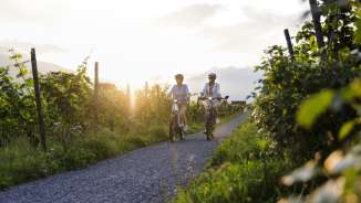 Two women cycle through the vines in Liechtenstein at sunset - enjoying nature and an active vacation at dusk