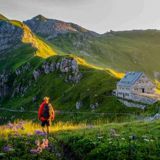Hiker looks at the Pfälzer hut in Liechtenstein, surrounded by a green mountain landscape and Alpine panorama in the evening light