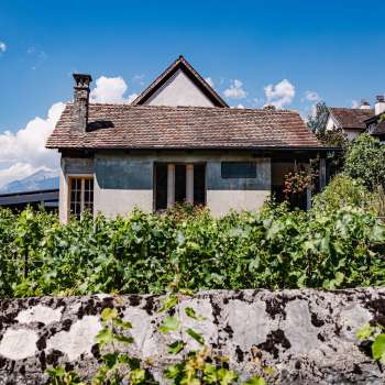 Traditional house of the Torkel restaurant, surrounded by vines with a view of the Alps.